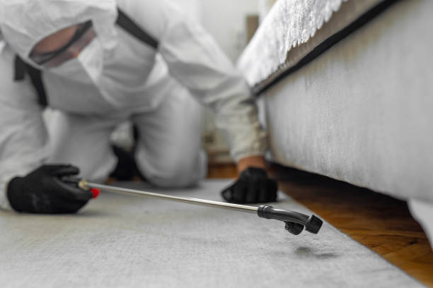 Professional Termite Control technician working in Mayville, WI