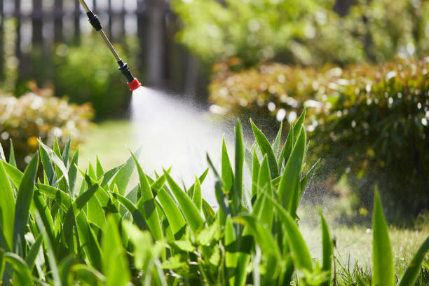 24/7 Emergency Termite Control experts in Mayville, WI