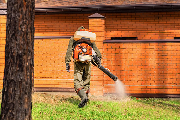 Top rated local Termite Control specialists in Mayville, WI